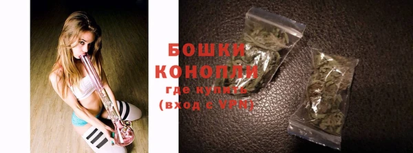 гидра Кинешма