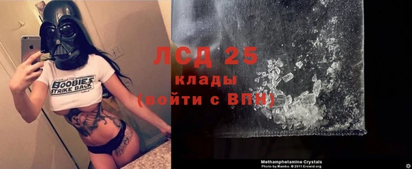 гидра Кинешма
