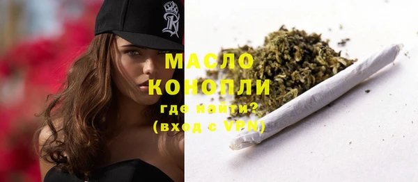 гидра Кинешма