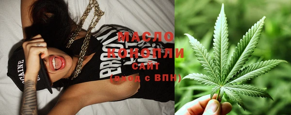 гидра Кинешма