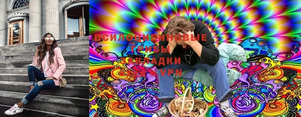 гидра Кинешма