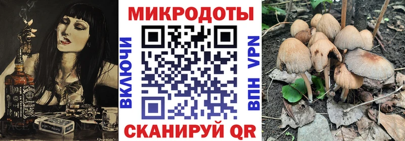 Галлюциногенные грибы Magic Shrooms  Ессентуки 